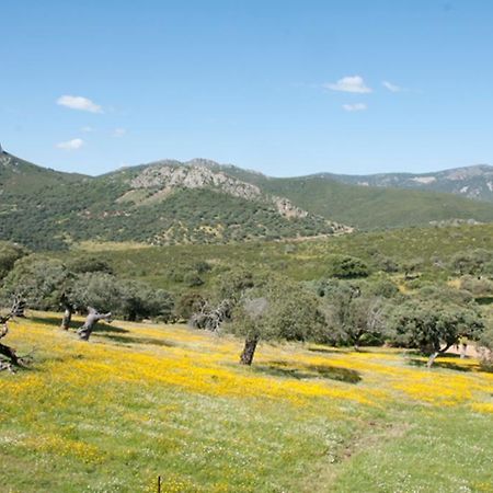Cañamero La Briznaゲストハウス エクステリア 写真