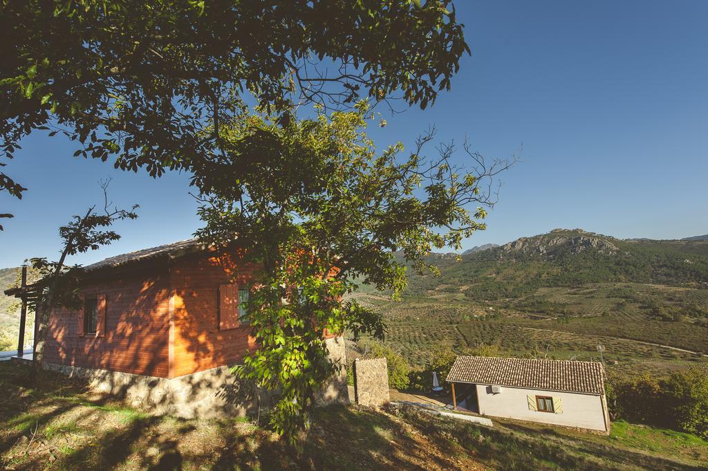 Cañamero La Briznaゲストハウス 部屋 写真