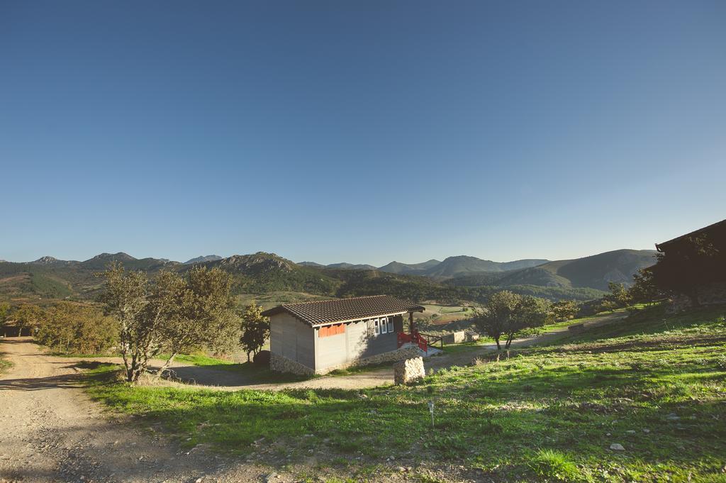 Cañamero La Briznaゲストハウス エクステリア 写真