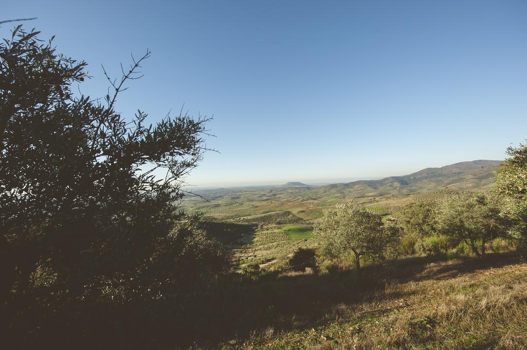 Cañamero La Briznaゲストハウス エクステリア 写真